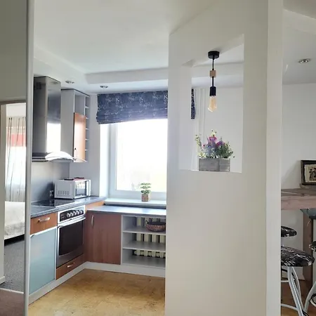 Giedres Taikos Apartments Kowno Zewnętrze zdjęcie
